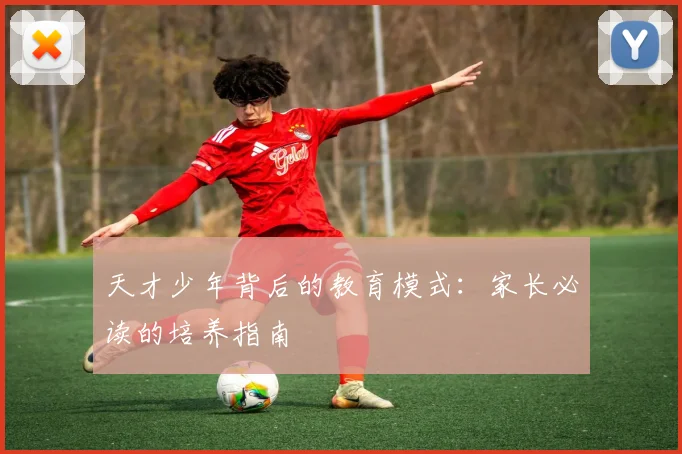天才少年背后的教育模式:家长必读的培养指南